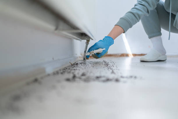 Best Cockroach Control Services  in San Marino, CA